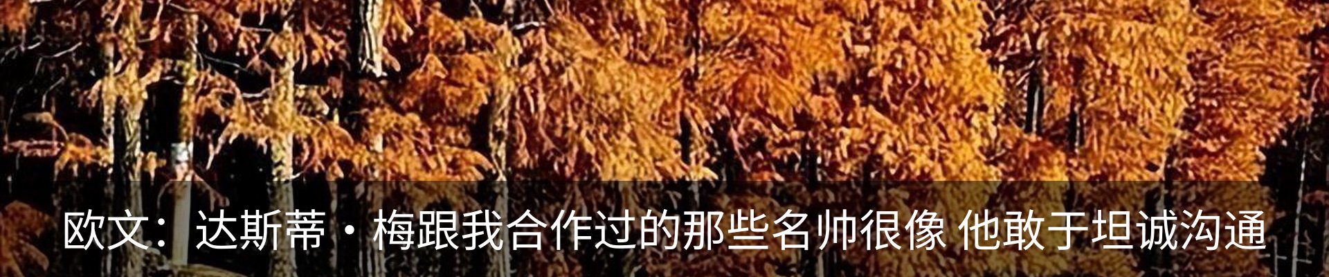 行业资讯